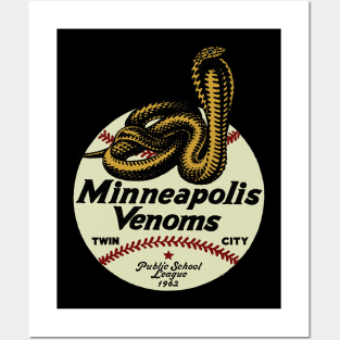 Vintage Minnesota Baseball Team Posters and Art
